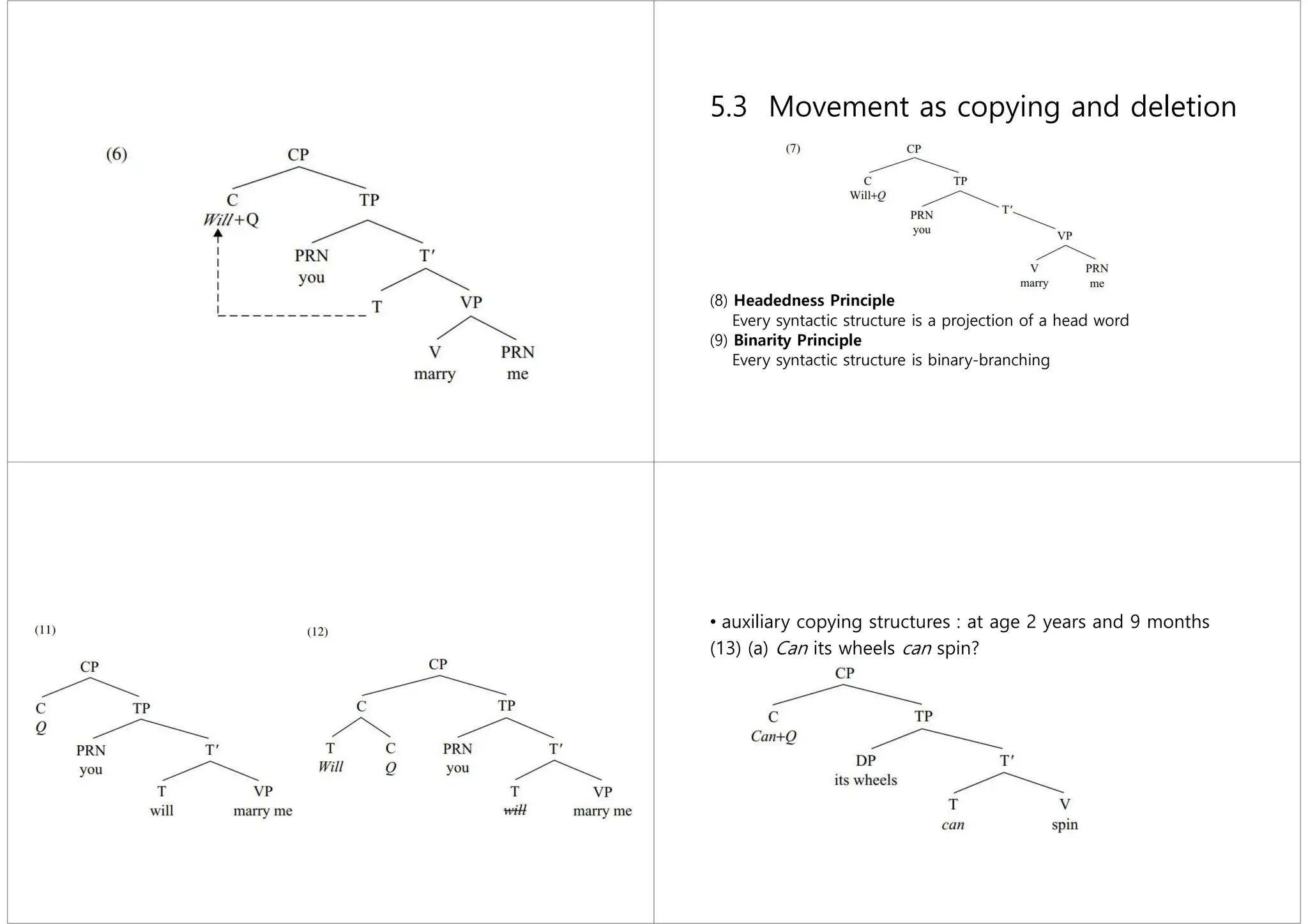 5.3 Movement as copying and deletion
(8) Headedness Principle
Every syntactic structure is a projection of a head word
(9) Binarity Principle
Every syntactic structure is binary-branching
• auxiliary copying structures : at age 2 years and 9 months
(13) (a) Can its wheels can spin?
(b) Did the kitchen light did ﬂash?
(c) Is the steam is hot?
(d) Was that was Anna?
 