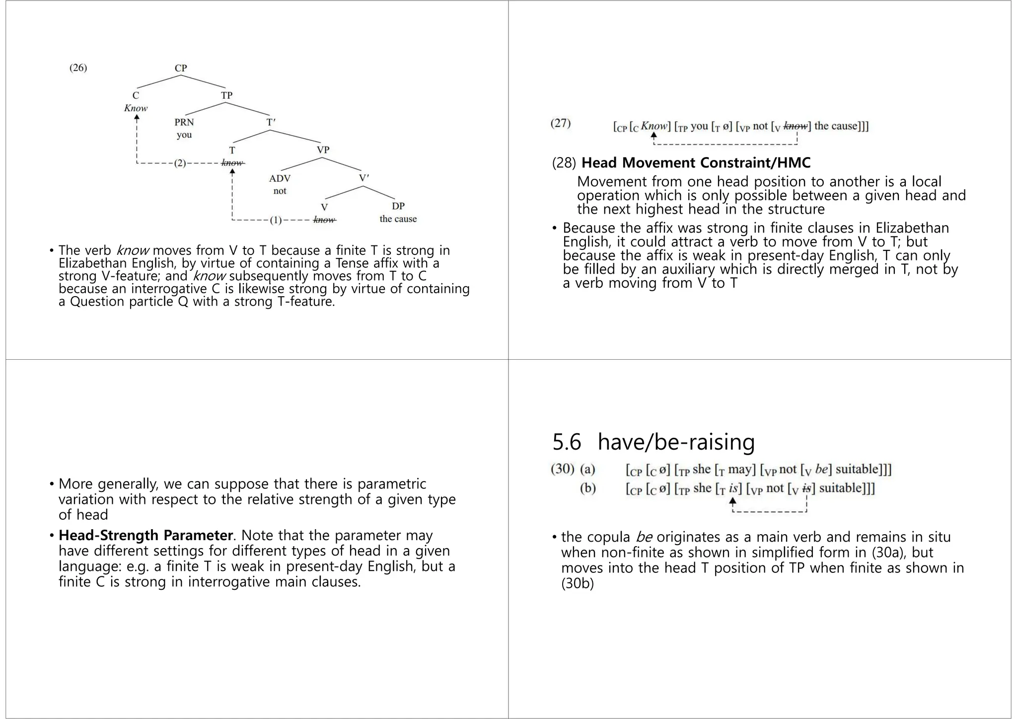 • The verb know moves from V to T because a ﬁnite T is strong in
Elizabethan English, by virtue of containing a Tense afﬁx with a
strong V-feature; and know subsequently moves from T to C
because an interrogative C is likewise strong by virtue of containing
a Question particle Q with a strong T-feature.
(28) Head Movement Constraint/HMC
Movement from one head position to another is a local
operation which is only possible between a given head and
the next highest head in the structure
• Because the afﬁx was strong in ﬁnite clauses in Elizabethan
English, it could attract a verb to move from V to T; but
because the afﬁx is weak in present-day English, T can only
be ﬁlled by an auxiliary which is directly merged in T, not by
a verb moving from V to T
• More generally, we can suppose that there is parametric
variation with respect to the relative strength of a given type
of head
• Head-Strength Parameter. Note that the parameter may
have different settings for different types of head in a given
language: e.g. a ﬁnite T is weak in present-day English, but a
ﬁnite C is strong in interrogative main clauses.
5.6 have/be-raising
• the copula be originates as a main verb and remains in situ
when non-ﬁnite as shown in simpliﬁed form in (30a), but
moves into the head T position of TP when ﬁnite as shown in
(30b)
 