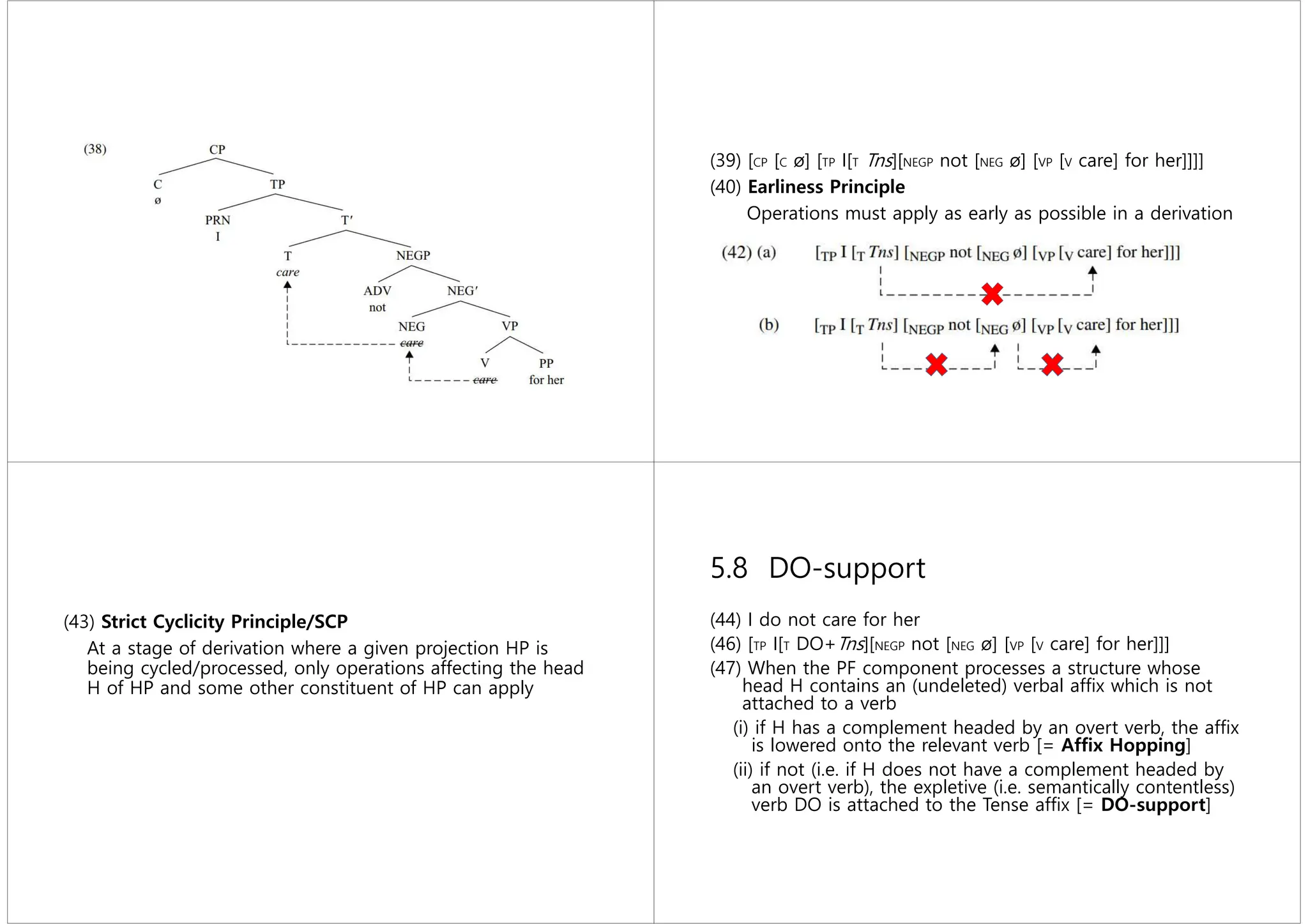 (39) [CP [C ø] [TP I[T Tns][NEGP not [NEG ø] [VP [V care] for her]]]]
(40) Earliness Principle
Operations must apply as early as possible in a derivation
(43) Strict Cyclicity Principle/SCP
At a stage of derivation where a given projection HP is
being cycled/processed, only operations affecting the head
H of HP and some other constituent of HP can apply
5.8 DO-support
(44) I do not care for her
(46) [TP I[T DO+Tns][NEGP not [NEG ø] [VP [V care] for her]]]
(47) When the PF component processes a structure whose
head H contains an (undeleted) verbal afﬁx which is not
attached to a verb
(i) if H has a complement headed by an overt verb, the afﬁx
is lowered onto the relevant verb [= Afﬁx Hopping]
(ii) if not (i.e. if H does not have a complement headed by
an overt verb), the expletive (i.e. semantically contentless)
verb DO is attached to the Tense afﬁx [= DO-support]
 