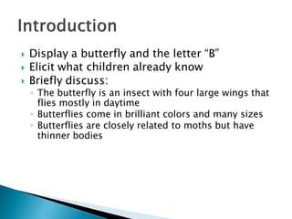 Display a butterfly and the letter “B” 
Elicit what children already know 
Briefly discuss: 
◦The butterfly is an insect with four large wings that flies mostly in daytime 
◦Butterflies come in brilliant colors and many sizes 
◦Butterflies are closely related to moths but have thinner bodies  