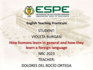 English Teaching Practicum
STUDENT:
VIOLETA BURGASÍ
How humans learn in general and how they
learn a foreign language
NRC 2023
TEACHER:
DOLORES DEL ROCÍO ORTEGA
 