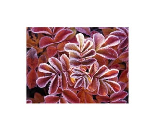 English teaching technology