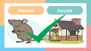 house
mouse
 
