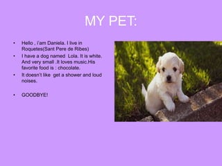 MY PET:
• Hello , i’am Daniela. I live in
Roquetes(Sant Pere de Ribes)
• I have a dog named Lola. It is white.
And very sm...