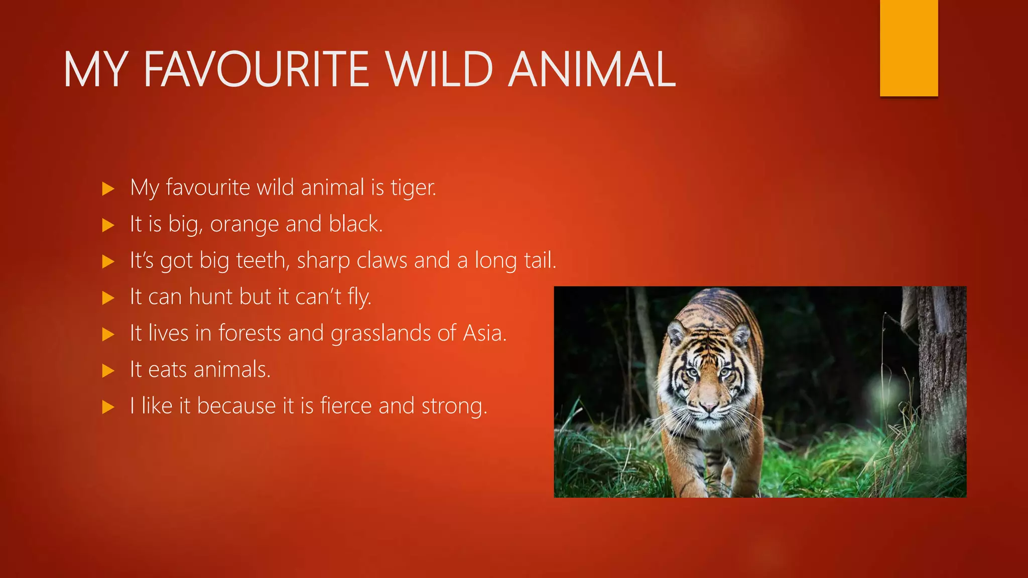 MY FAVOURITE WILD ANIMAL
 My favourite wild animal is tiger.
 It is big, orange and black.
 It’s got big teeth, sharp claws and a long tail.
 It can hunt but it can’t fly.
 It lives in forests and grasslands of Asia.
 It eats animals.
 I like it because it is fierce and strong.
 