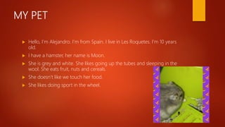 MY PET
 Hello, I’m Alejandro. I’m from Spain. I live in Les Roquetes. I’m 10 years
old.
 I have a hamster, her name is M...