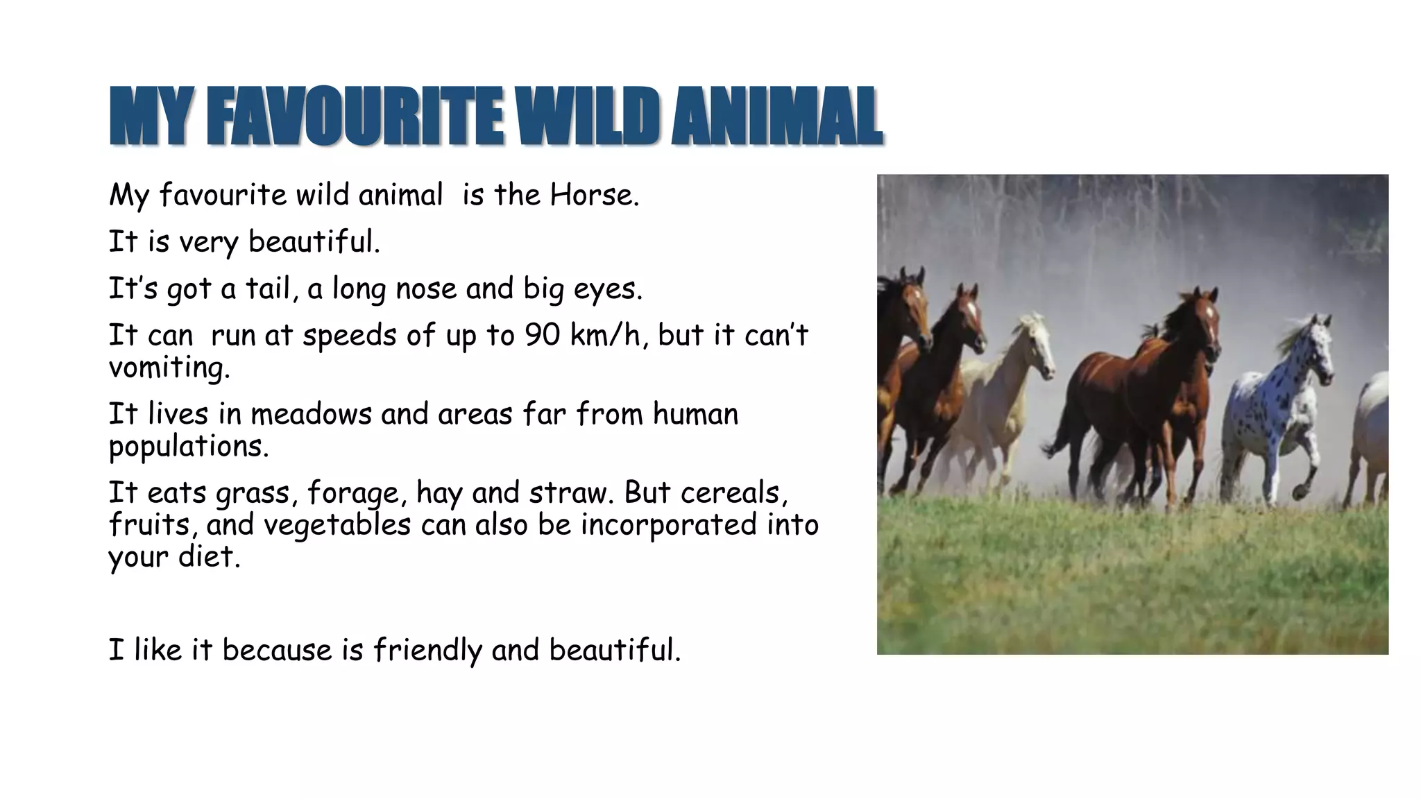 MY FAVOURITE WILD ANIMAL
My favourite wild animal is the Horse.
It is very beautiful.
It’s got a tail, a long nose and big eyes.
It can run at speeds of up to 90 km/h, but it can’t
vomiting.
It lives in meadows and areas far from human
populations.
It eats grass, forage, hay and straw. But cereals,
fruits, and vegetables can also be incorporated into
your diet.
I like it because is friendly and beautiful.
 