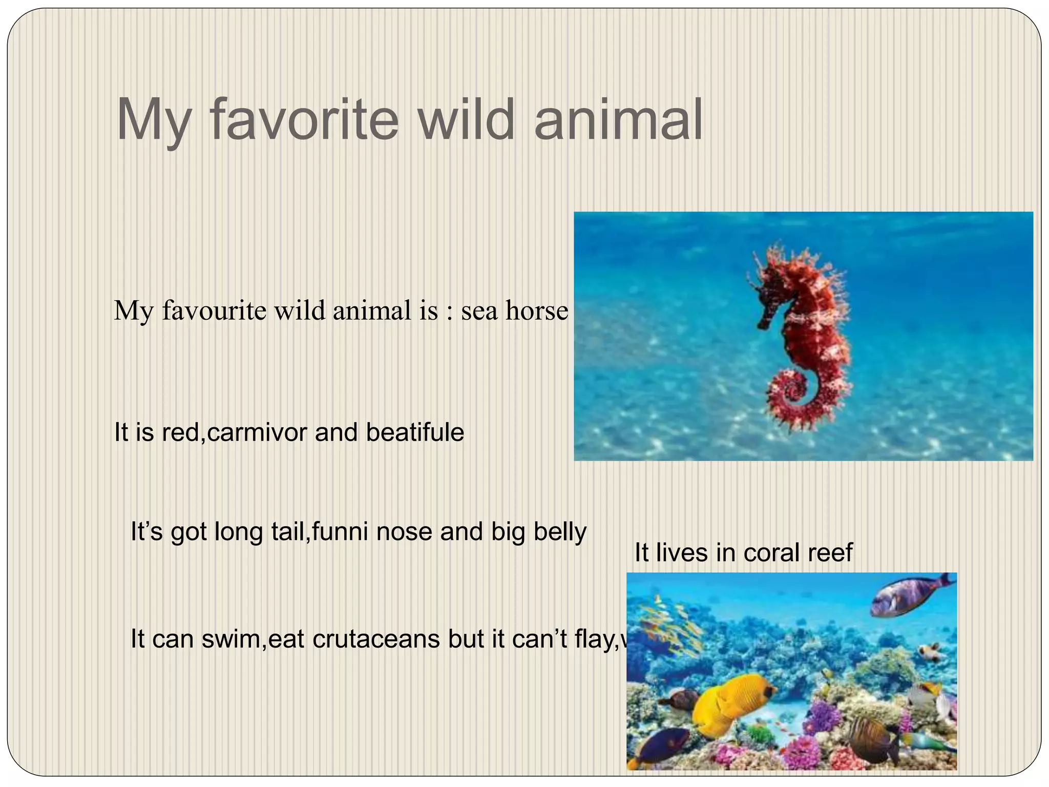 My favorite wild animal
My favourite wild animal is : sea horse
It is red,carmivor and beatifule
It’s got long tail,funni nose and big belly
It can swim,eat crutaceans but it can’t flay,walk
It lives in coral reef