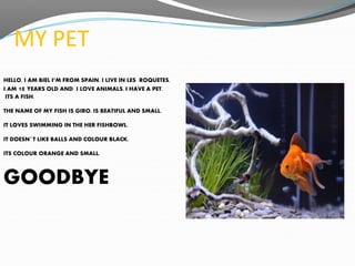 MY PET
HELLO, I AM BIEL I’M FROM SPAIN, I LIVE IN LES ROQUETES.
I AM 10 YEARS OLD AND I LOVE ANIMALS. I HAVE A PET.
ITS A ...