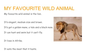 MY FAVOURITE WILD ANIMAL
My favourite wild animal is the lion.
It’s elegant, medium size and brown.
It’s got a golden mane, a tale and a black nose.
It can hunt and swim but it can’t fly.
It lives in Afrika.
It eats the meat that it hunts.
 