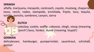 SPANISH
alfalfa, marijuana, mesquite, cockroach, coyote, mustang, chaparral,
lasso, ranch, rodeo, stampede, enchilada, frijole, taco, tequila,
tortilla, poncho, sombrero, canyon, sierra
DUTCH
coleslaw, cookie, waffle, caboose, sleigh, stoop (meaning
‘porch’) boss, Yankee, dumb (meaning ‘stupid’)
GERMAN
delicatessen, hamburger, pumpernickel, sauerkraut, schnitzel,
pretzel
 