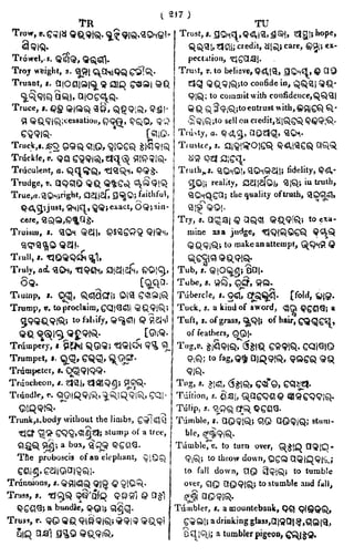 English_odia dictionary
