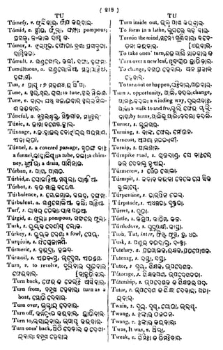 English_odia dictionary