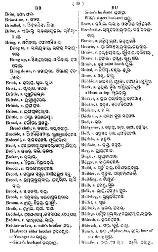 English_odia dictionary