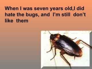 When I was seven years old,I did hate the bugs, and  I’m still  don’t like  them  