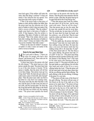 129 LEVITICUS 13:56–14:17
must look again. If the mildew still looks the
same, then that thing is unclean.* It does not
matter if the infection has not spread. You
must burn that cloth or piece of leather.
56“But if the priest looks at that piece of
leather or cloth, and the mildew has faded, then
the priest must tear the infection out of the
piece of leather or cloth. It does not matter if the
cloth is woven or knitted. 57But the mildew*
might come back to that piece of leather or
cloth. If that happens, then the mildew is
spreading. That piece of leather or cloth must
be burned. 58But if the mildew did not come
back after washing, then that piece of leather or
cloth is clean.* It does not matter if the cloth
was woven or knitted. That cloth is clean.”
59Those are the rules for mildew* on pieces
of leather or cloth. It does not matter if the
cloth is woven or knitted.
Rules for the Leper Made Clean
14The Lord said to Moses, 2“These are
the rules for people who had a skin
disease* and became well. These rules are for
making that person clean.*
“A priest must look at the person who had
the skin disease.* 3The priest must go to that
person outside the camp. The priest must look
to see if the skin disease is healed. 4If the
person is healthy, then the priest will tell him
to do these things: That person must get two
living clean* birds. He must also get a piece of
cedar wood, a piece of red cloth, and a hyssop*
plant. 5Then the priest must order one bird to
be killed in a clay bowl over running water.
6The priest must take the other bird that is still
alive and the piece of cedar wood, the piece of
red cloth, and the hyssop plant. He must dip
the living bird and the other things in the blood
of the bird that was killed over the running
water. 7The priest must sprinkle the blood
seven times on the person who had the skin
disease. Then the priest must announce that the
person is clean. After that, the priest must go to
an open ﬁeld and let the living bird go free.
8“Then that person must wash his clothes.
He must shave off all his hair. And he must
wash with water. Then he will be clean.*
Then that person may go into the camp. But
he must stay outside his tent for seven days.
9On the seventh day, he must shave off all his
hair. He must shave his head, his beard, and
his eyebrows—yes, all his hair. Then he must
wash his clothes and bathe his body in water.
Then he will be clean.
10“On the eighth day, the person who had a
skin disease* must take two male lambs that
have nothing wrong with them. He must also
take a one-year-old female lamb that has
nothing wrong with it. He must take 24 cups*
of fine flour mixed with oil. This fine flour is
for a grain offering. The person must take 2/3
of a pint* of olive oil. 11The priest must bring
that person and his sacriﬁces before the Lord at
the entrance of the Meeting Tent.* (This must
be the same priest who announces that the
person is clean.*) 12The priest will offer one of
the male lambs as a guilt offering. He will offer
that lamb and some of the oil as a wave
offering before the Lord. 13Then the priest will
kill the male lamb in the holy place where they
kill the sin offering and the burnt offering. The
guilt offering is like the sin offering. It belongs
to the priest. It is very holy.
14“The priest will take some of the blood of
the guilt offering. The priest will put some of
this blood on the tip of the right ear of the
person to be made clean.* The priest will put
some of this blood on the thumb of the right
hand and on the big toe of the right foot of
that person. 15The priest will also take some
of the oil and pour it into his left palm. 16Then
the priest will dip the ﬁnger of his right hand
into the oil that is in his left palm. He will use
his finger to sprinkle some of the oil seven
times before the Lord. 17Then the priest will
unclean Not pure or not acceptable to God for worship.
mildew A kind of fungus that often grows on cloth, leather,or
wood that is in a warm, damp place. The Hebrew word also
means, “leprosy,” or “skin disease.”
clean Pure or acceptable to God for worship.
skin disease Literally, “leprosy.” The Hebrew word can mean
many different kinds of skin disease.
hyssop A plant with fine branches and leaves used for
sprinkling blood or water in cleansing ceremonies.
24 cups Literally, “3/10,” probably meaning 3/10 of an ephah.
2/3 of a pint Literally, “1 log.”
Meeting Tent The Holy Tent (tabernacle) where the people of
Israel went to meet with God.
 