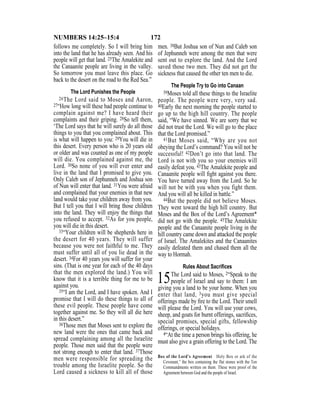 172NUMBERS 14:25–15:4
follows me completely. So I will bring him
into the land that he has already seen. And his
people will get that land. 25The Amalekite and
the Canaanite people are living in the valley.
So tomorrow you must leave this place. Go
back to the desert on the road to the Red Sea.”
The Lord Punishes the People
26The Lord said to Moses and Aaron,
27“How long will these bad people continue to
complain against me? I have heard their
complaints and their griping. 28So tell them,
‘The Lord says that he will surely do all those
things to you that you complained about. This
is what will happen to you: 29You will die in
this desert. Every person who is 20 years old
or older and was counted as one of my people
will die. You complained against me, the
Lord. 30So none of you will ever enter and
live in the land that I promised to give you.
Only Caleb son of Jephunneh and Joshua son
of Nun will enter that land. 31You were afraid
and complained that your enemies in that new
land would take your children away from you.
But I tell you that I will bring those children
into the land. They will enjoy the things that
you refused to accept. 32As for you people,
you will die in this desert.
33“Your children will be shepherds here in
the desert for 40 years. They will suffer
because you were not faithful to me. They
must suffer until all of you lie dead in the
desert. 34For 40 years you will suffer for your
sins. (That is one year for each of the 40 days
that the men explored the land.) You will
know that it is a terrible thing for me to be
against you.
35“I am the Lord, and I have spoken. And I
promise that I will do these things to all of
these evil people. These people have come
together against me. So they will all die here
in this desert.”
36Those men that Moses sent to explore the
new land were the ones that came back and
spread complaining among all the Israelite
people. Those men said that the people were
not strong enough to enter that land. 37Those
men were responsible for spreading the
trouble among the Israelite people. So the
Lord caused a sickness to kill all of those
men. 38But Joshua son of Nun and Caleb son
of Jephunneh were among the men that were
sent out to explore the land. And the Lord
saved those two men. They did not get the
sickness that caused the other ten men to die.
The People Try to Go into Canaan
39Moses told all these things to the Israelite
people. The people were very, very sad.
40Early the next morning the people started to
go up to the high hill country. The people
said, “We have sinned. We are sorry that we
did not trust the Lord. We will go to the place
that the Lord promised.”
41But Moses said, “Why are you not
obeying the Lord’s command? You will not be
successful! 42Don’t go into that land. The
Lord is not with you so your enemies will
easily defeat you. 43The Amalekite people and
Canaanite people will ﬁght against you there.
You have turned away from the Lord. So he
will not be with you when you fight them.
And you will all be killed in battle.”
44But the people did not believe Moses.
They went toward the high hill country. But
Moses and the Box of the Lord’s Agreement*
did not go with the people. 45The Amalekite
people and the Canaanite people living in the
hill country came down and attacked the people
of Israel. The Amalekites and the Canaanites
easily defeated them and chased them all the
way to Hormah.
Rules About Sacriﬁces
15The Lord said to Moses, 2“Speak to the
people of Israel and say to them: I am
giving you a land to be your home. When you
enter that land, 3you must give special
offerings made by ﬁre to the Lord. Their smell
will please the Lord. You will use your cows,
sheep, and goats for burnt offerings, sacriﬁces,
special promises, special gifts, fellowship
offerings, or special holidays.
4“At the time a person brings his offering, he
must also give a grain offering to the Lord. The
Box of the Lord’s Agreement Holy Box or ark of the
Covenant,” the box containing the flat stones with the Ten
Commandments written on them. These were proof of the
Agreement between God and the people of Israel.
 