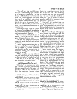 87 EXODUS 23:14–30
14“You will have three special holidays
each year. On these holidays, you will come
to my special place to worship me. 15The ﬁrst
holiday will be the Festival of Unleavened
Bread. This is like I commanded you. At this
time you will eat bread that is made without
yeast. This will continue for seven days. You
will do this during the month of Abib,*
because this is the time when you came out of
Egypt. Every person must bring a sacriﬁce to
me at that time.
16“The second holiday will be the Festival
of Pentecost. This holiday will be {during the
early summer time} when you begin harvesting
the crops you planted in your ﬁelds.
“The third holiday will be the Festival of
Shelters.* This will be in the fall* when you
gather all the crops from your ﬁelds.
17“So three times each year all the men will
come {to the special place} to be with the Lord
your Master.
18“When you kill an animal and offer its
blood as a sacriﬁce,* you must not offer bread
that has yeast in it. {And when you eat the
meat from this sacriﬁce, you must eat all of
the meat in one day.} Don’t save any of the
meat for the next day.
19“When you gather your crops at harvest
time, you should bring the first of everything
you harvest to the house* of the Lord your God.
“You must not eat the meat from a young
goat that is boiled in its mother’s milk.”
God Will Help Israel Take Their Land
20{God said,} “I am sending an angel before
you. This angel will lead you to the place that
I have prepared for you. The angel will
protect you. 21Obey the angel and follow him.
Don’t rebel against him. The angel will not
forgive the wrong things you do to him. He
has my power in him. 22You must obey
everything he says. You must do everything
that I tell you. If you do this, then I will be
with you. I will be against all of your
enemies. And I will be an enemy to every
person who is against you.”
23{God said,} “My angel will lead you
through the land. He will lead you against
many different people—the Amorites, the
Hittites, the Perizzites, the Canaanites, the
Hivites, and the Jebusites. But I will defeat all
of those people.
24“Don’t worship the gods of those people.
Don’t ever bow down to those gods. You must
never live the way those people live. You must
destroy their idols.* And you must break the
stones that help them remember their gods.*
25You must serve the Lord your God. If you
do this, I will bless you with plenty of bread
and water. I will take away all sickness from
you. 26Your women will all be able to have
babies. None of their babies will die at birth.
And I will allow you to live long lives.
27“When you ﬁght against your enemies, I
will send my great power before you.* I will
help you defeat all your enemies. The people
that are against you will become confused in
battle and run away. 28I will send the hornet*
in front of you. He will force your enemies to
leave. The Hivite people, the Canaanite
people, and the Hittite people will leave your
country. 29But I will not force all those people
out of your land quickly. I will not do this in
only one year. The land will be empty if I
force the people out too fast. Then all the wild
animals would increase and control the land.
And they would be much trouble for you.
30So I will force those people out of your land
very slowly. You will continue to move
across the land. And wherever you go I will
force the other people to leave.
month of Abib Or, “the spring month,” that is, Nisan. This is
about March-April.
Festival of Shelters Also called “Succoth” and “Feast of
Tabernacles.” At this time, the people lived in tents or shelters
for seven days to help them remember the time in the Sinai
desert.
in the fall Literally, “at the end of the year.” This means the end
of the growing season.
sacriﬁce(s) A gift to God. Usually, it was a special animal that
was killed and burned on an altar.
house The “Holy Tent” where the people went to meet with
God. See Ex. 25:8,9.
idols Statues of false gods that people worshiped.
stones that help them remember their gods Or, “memorials.”
Here, these were stone markers that people used in worshiping
their gods.
When you ﬁght … you Or, “News of my power will go before
you, and your enemies will be frightened.”
hornet A stinging insect like a wasp or bee. This might be a
real hornet or it might mean God’s angel or his great power.
 