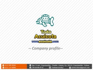 -- Company profile--
 