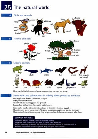 58
The natural world
Birds and animals
paw
Flowers and trees
leaves
petals
bud
�����·��branch
-:-�ilillli:a.S
bark
MW---=--trunk
Specific animals
��,-,,c;�
frog whale shark bat worm deer (singular
and plural)
,� 4L-4
pigeon � seal
owl fox snail crab
Here are the English names of some creatures that you may not know.
Some verbs and collocations for talking about processes in nature
Our apple tree flowers I blossoms in April.
Let's pick some flowers.
These birds lay their eggs on the ground.
Bees collect pollen from flowers to make honey.
Some verbs can be intransitive (no object) or transitive (with an .Q.Qjlli):
These flowers grow very quickly. We grew some tomatoes in our garden last year.
These animals breed in the spring. My neighbour breeds Burmese cats and sells them.
con.u4.0"- mis..f-ake..
Remember, we pick flowers I fruit; we don't say pick up.
We picked some flowers and put them in a vase. (NOT ----A
We pick something up when it has fallen from its normal position or someone drops 1t.
A woman dropped her purse so I picked it up and gave it bock to her.
English Vocabulary in Use Upper-intermediate
 