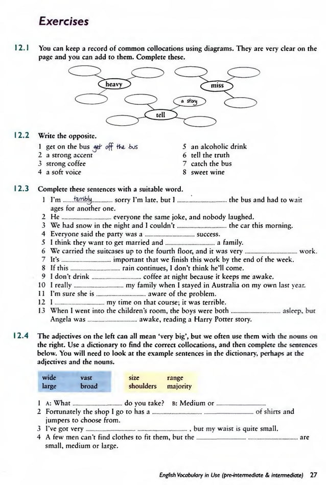 English vocabulary in use (pre intermediate & intermediate)
