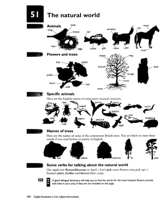 English Vocabulary in Use Upper-Intermediate.pdf