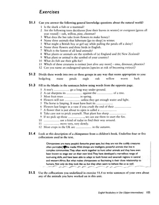 English Vocabulary in Use Upper-Intermediate.pdf