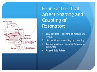 Four Factors that
Affect Shaping and
Coupling of
Resonators
1. Jaw position – opening of mouth and
   throat
2. Lip position – spreading or rounding
3. Tongue position – arching forward or
   backward
4. Raised Soft Palate
 