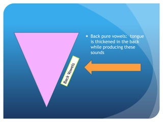  Back pure vowels: tongue
  is thickened in the back
  while producing these
  sounds
 