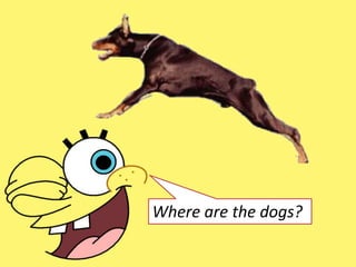 Where are the dogs?
 