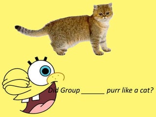 Did Group ______ purr like a cat?
 