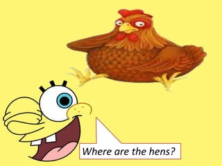 Where are the hens?
 