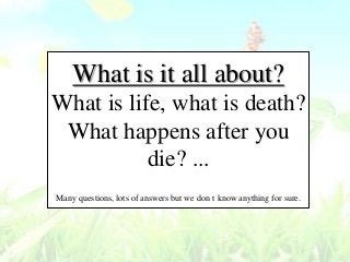 What is it all about?
What is life, what is death?
What happens after you
die? ...
Many questions, lots of answers but we don t know anything for sure.

 