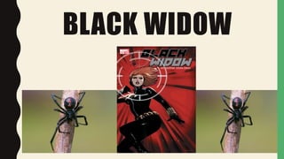 BLACK WIDOW
 