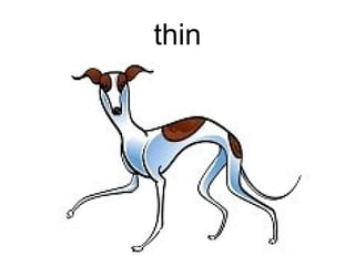 thin
 
