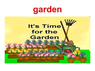garden
 