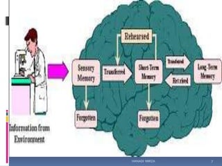 Human Memory

HANADI MIRZA

7

 