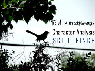 To Kill a Mockingbird

Character Analysis
SCOUT FINCH
 