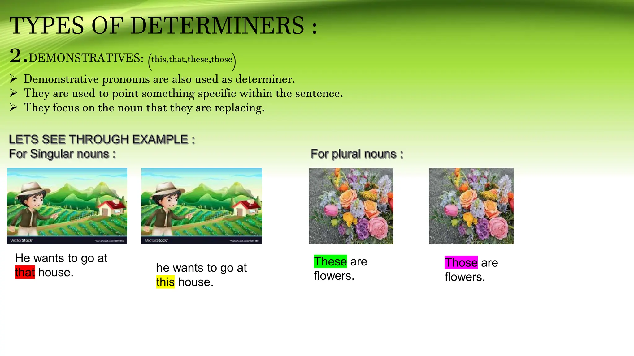determiners andddd its types in detailed | PPT