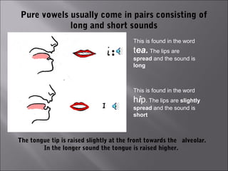 Pure vowels usually come in pairs consisting of
            long and short sounds
                                         This is found in the word
                                         tea. The lips are
                                   :     spread and the sound is
                                         long



                                         This is found in the word
                                         hip. The lips are slightly
                                         spread and the sound is
                                         short



The tongue tip is raised slightly at the front towards the alveolar.
        In the longer sound the tongue is raised higher.
 