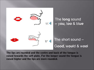 The long sound
                                 u:      – you, too & blue



                                         The short sound –
                                         Good, would & wool
The lips are rounded and the centre and back of the tongue is
raised towards the soft plate. For the longer sound the tongue is
raised higher and the lips are more rounded.
 