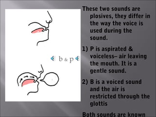 These two sounds are
            plosives, they differ in
            the way the voice is
            used during the
 Closed
 mouth
            sound.
          1) P is aspirated &
b&p          voiceless– air leaving
             the mouth. It is a
             gentle sound.
          2) B is a voiced sound
             and the air is
             restricted through the
             glottis
          Both sounds are known
 