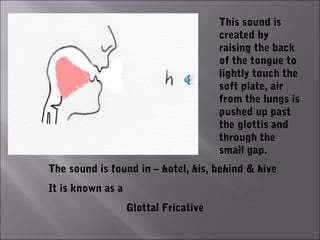 This sound is
                                       created by
                                       raising the back
                                       of the tongue to
                                       lightly touch the
                                       soft plate, air
                                       from the lungs is
                                       pushed up past
                                       the glottis and
                                       through the
                                       small gap.
The sound is found in – hotel, his, behind & hive
It is known as a
                   Glottal Fricative
 