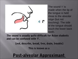 The sound ‘r’ is
                                      made when the tip of
                                      the tongue is held
                                      close to the alveolar
                                      ridge (but not
                                      touching). The side
                                      of the tongue should
                                      touch the lower back
                                      teeth.
The sound is usually quite difficult for Asian students
and can be confused with ‘l’.
       (red, describe, bread, free, drain, trouble)
                   This is known as a

     Post-alveolar Approximant
 