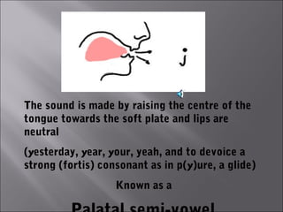 The sound is made by raising the centre of the
tongue towards the soft plate and lips are
neutral
(yesterday, year, your, yeah, and to devoice a
strong (fortis) consonant as in p(y)ure, a glide)
                   Known as a
 