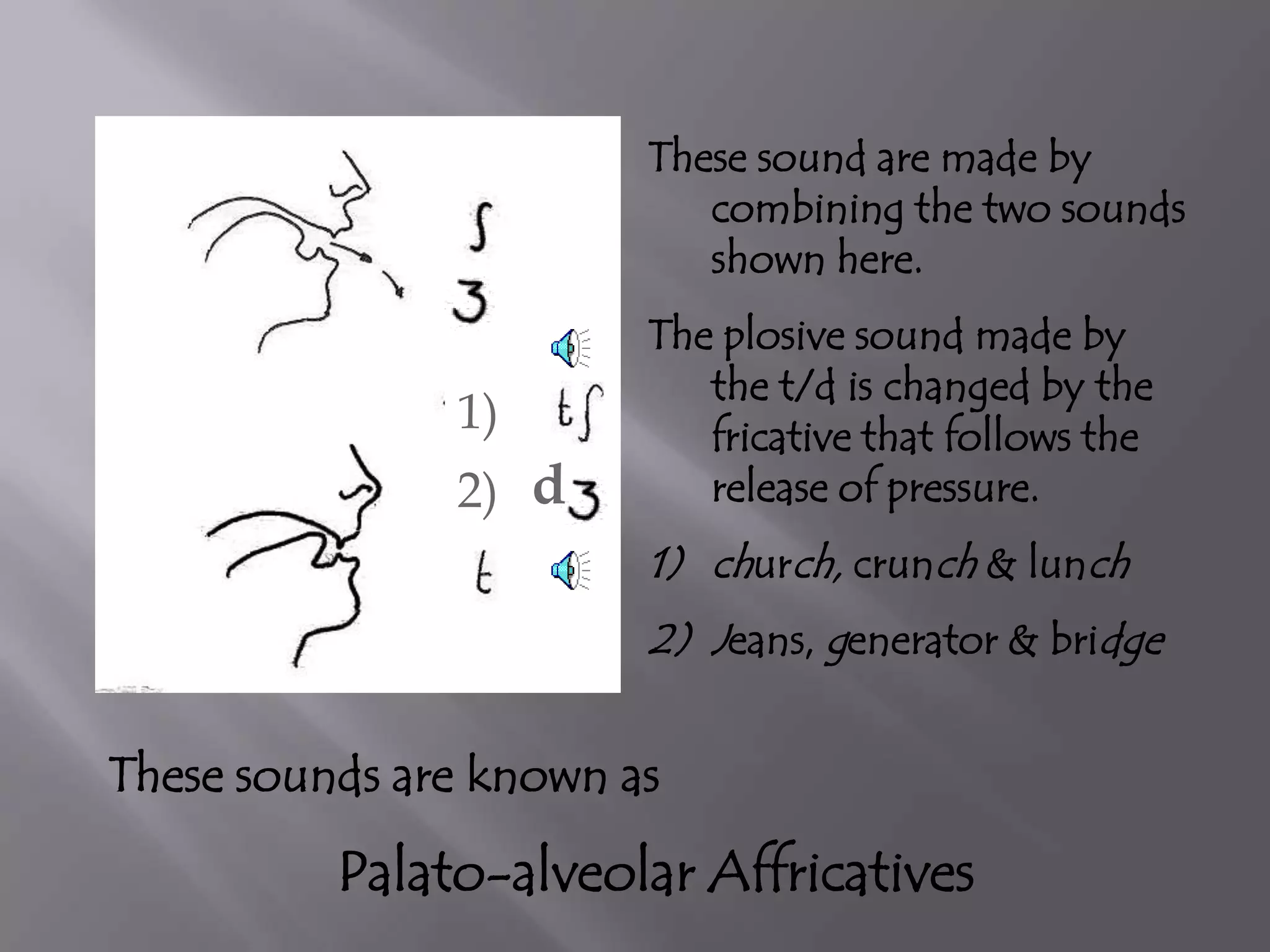 Affricatives Examples Phonetics | PPTX
