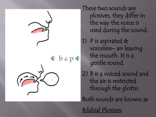 Plosive Examples Phonetics | PPTX