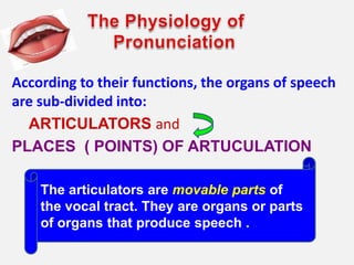 According to their functions, the organs of speech
are sub-divided into:
  ARTICULATORS and
PLACES ( POINTS) OF ARTUCULATION

    The articulators are movable parts of
    the vocal tract. They are organs or parts
    of organs that produce speech .
 