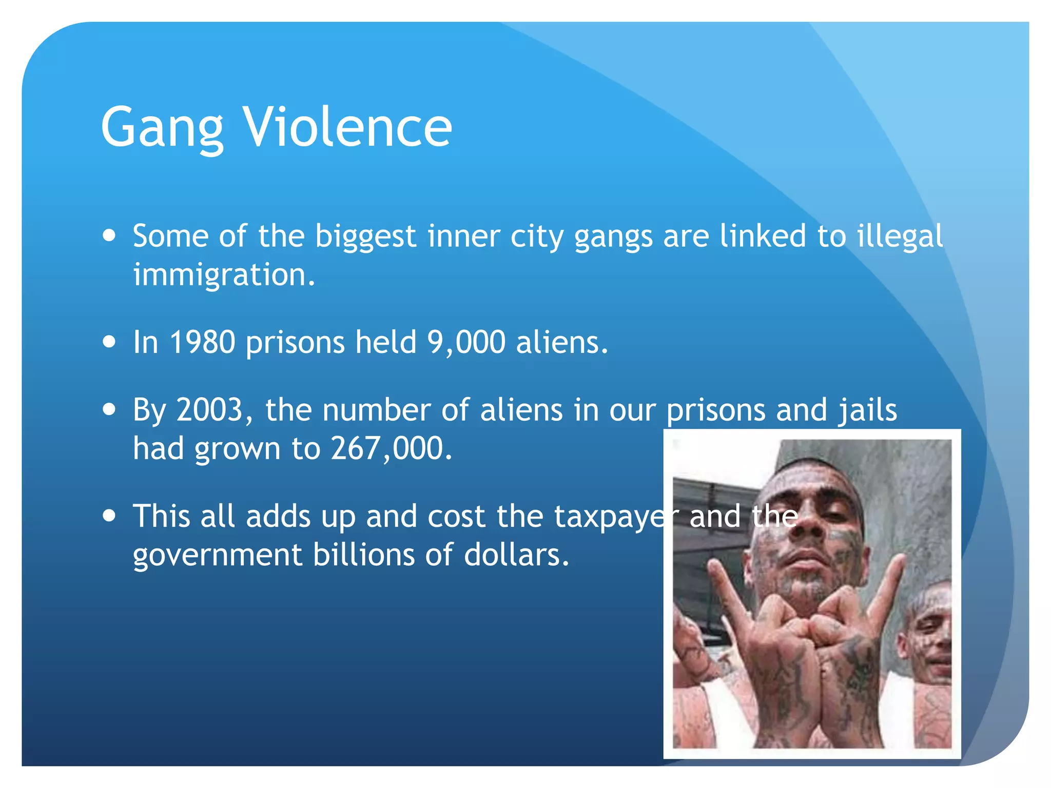 Gang Violence Some of the biggest inner city gangs are linked to illegal immigration. In 1980 prisons held 9,000 aliens. By 2003, the number of aliens in our prisons and jails had grown to 267,000.This all adds up and cost the taxpayer and the government billions of dollars. 