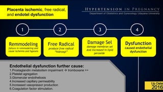 Placenta ischemic, free radical,
and endotel dysfunction
1 2 3 4
Remmodeling
failure in remmodeling and
cause ischemia and hypoxia
Free Radical
produce free radical
“hidroxyl”
Damage Sel
damage membran sel
And increased in lipid
peroxide
Dysfunction
caused endothelial
dysfunction
Endothelial dysfunction further cause:
1.Prostaglandin metabolism impairment  tromboxane >>
2.Platelet agregation
3.Glomerular endotheliosis
4.Increased capillary permeability
5.Increased vasopressor production
6.Coagulation factor stimulation.
 